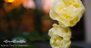 fb-ad-reinventeverafter