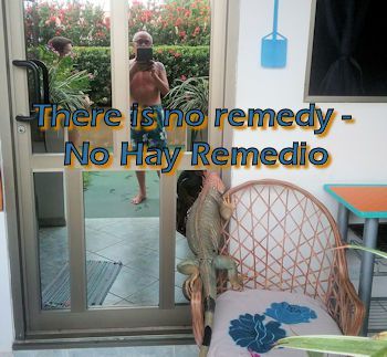 no remedy