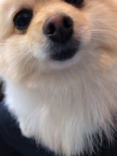 {686A4264-2E8E-4F5D-98DB-84C0C9721A7C}