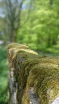 20160508_131148.jpg