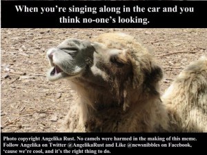 Angelika'sMeme (1)