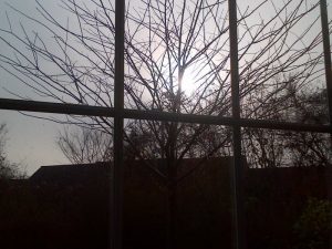 img-20161206-00509