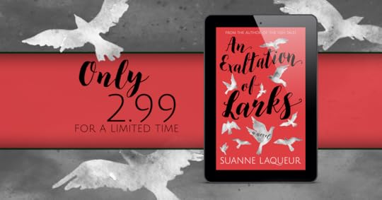  photo 15675666_698439136998832_4989332989093985954_o_zpsmmu9lxlu.png