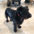 On the bright side, Huxley is in the @Clearleft office today.
