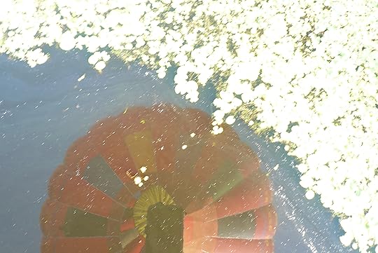 Up, up and away! Susanne's interest in adventure takes off