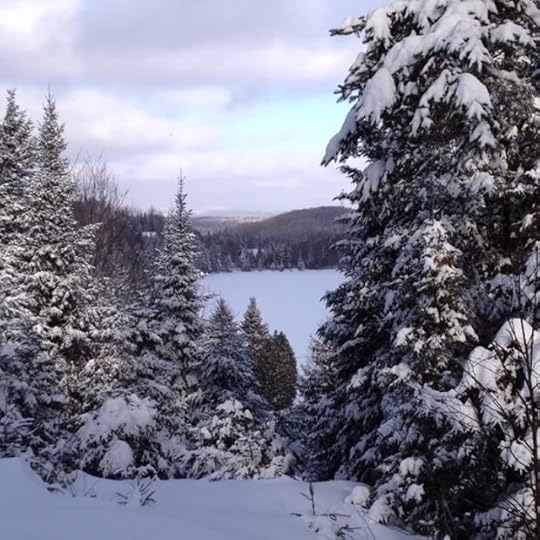 Happy winter wonderland new year ️