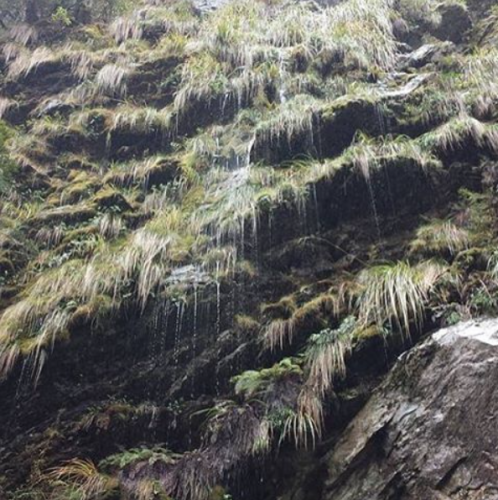 routeburn track