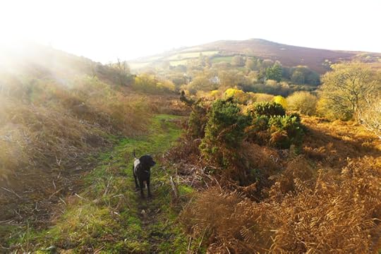 Nattadon Hill in Winter