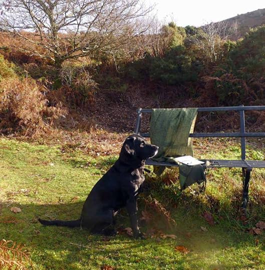 Writer's Dog, Notebook, & Pen