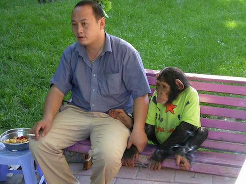 Chimpanzee_and_her_kepper.JPG