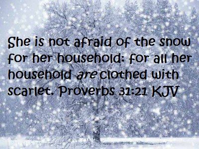 Image result for proverbs 31:21