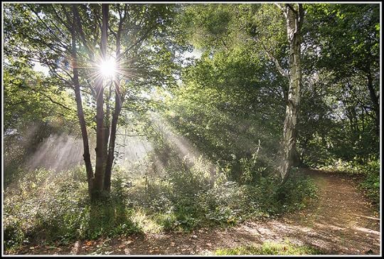 15004178998_fdf4bb1e5c_z