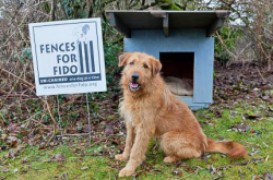 FencesForFido