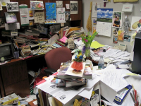 Disorganization