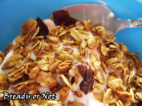 Bready or Not: Maple Cranberry Pecan Granola