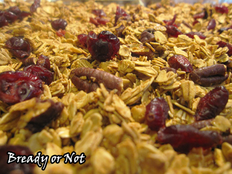Bready or Not: Maple Cranberry Pecan Granola