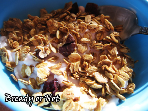 Bready or Not: Maple Cranberry Pecan Granola