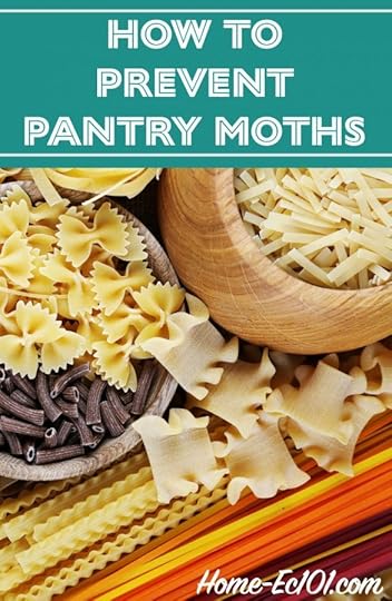 I put my pasta in a new container to store in my pantry and still found moths. What did I do wrong and how can I prevent pantry moths in the first place?