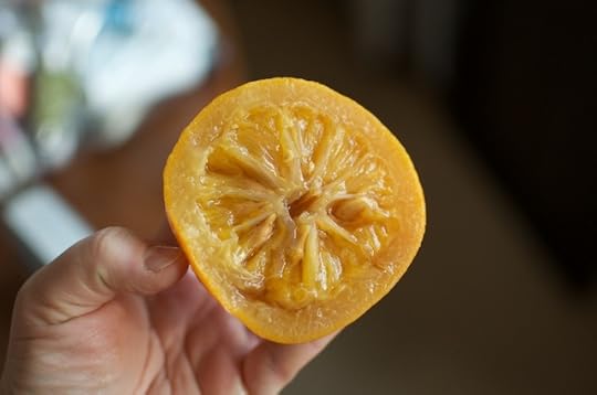 tender orange insides for small batch marmalade - Food in Jars