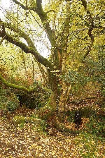 Tilly at the Fairy Spring