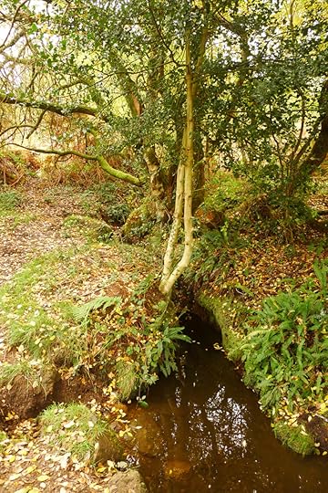 The water of the Fairy Spring