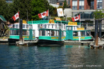 Victoria Harbor Ferry