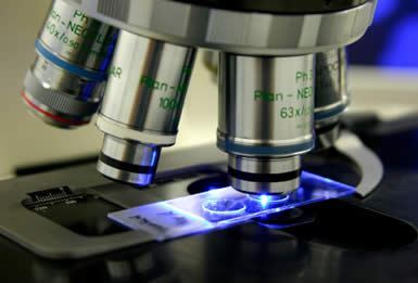 forensic_science_385x261