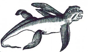 sea-ape