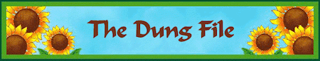 dungban