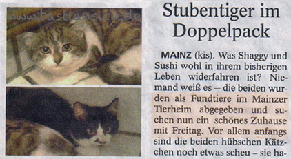 Schönes Zuhause mit Freitag (Mainzer Allgemeine Zeitung 23.01.2016) Patricia Lösch (quer)_WZ