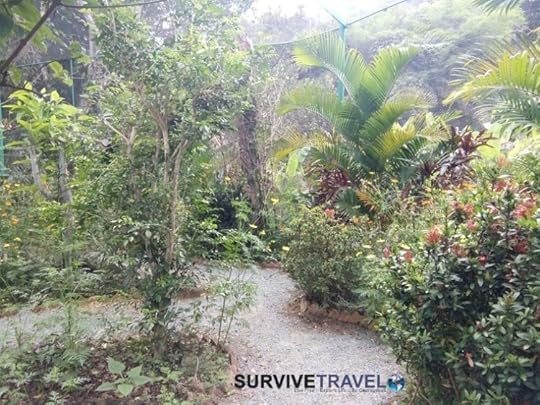Kep Butterfly Garden Review (2) - Inside the Garden - Survive Travel