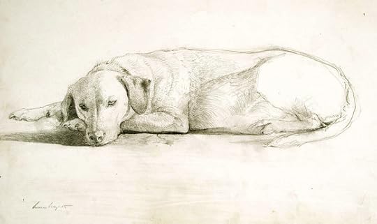 Andrew Wyeth dog sketch