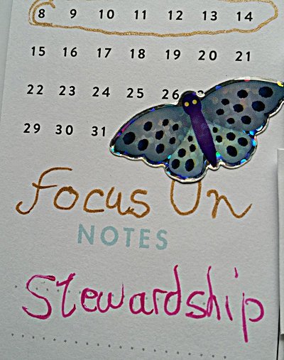 Weekly Intention Focus for week of 1/1-7, 2017: Stewardship