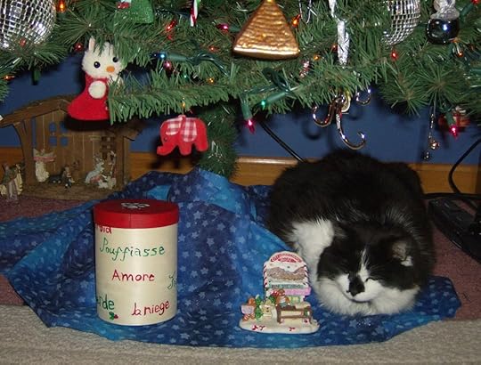 Oreo underneath my tree.
