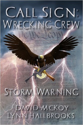 Cover art for Call Sign Wrecking Crew Storm Warning by David McKoy and Lynn Hallbrooks