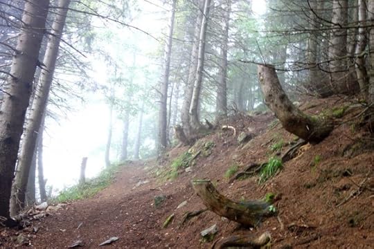 Day 45. Before the storm in the Guerboulouse forest.