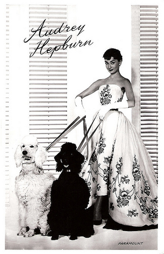 Audrey Hepburn in Sabrina (1954)