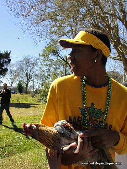 chicken-capturer in Iowa Chicken Run in Iowa, Louisiana