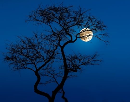 photo credit: leola642,