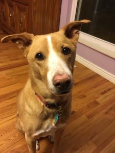nala1