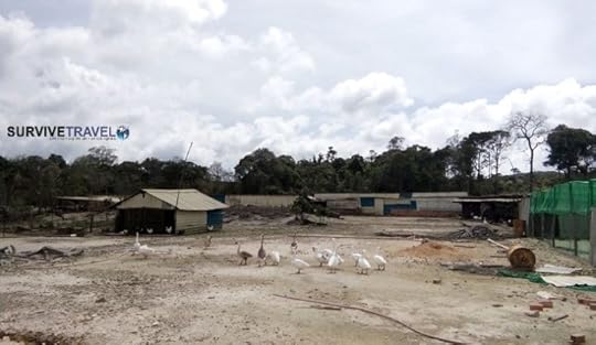 Bokor National Park Review (5) - Animal Farm - Survive Travel