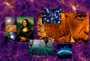 Screen Shot 2015-01-26 at 9.12.14 AM