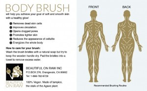Body Brush insert