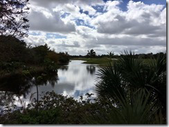 Plant Preserve3