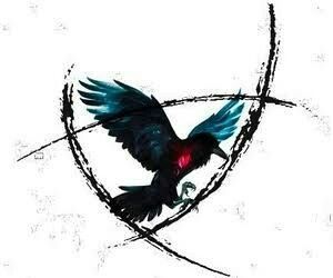 Raven Cycle