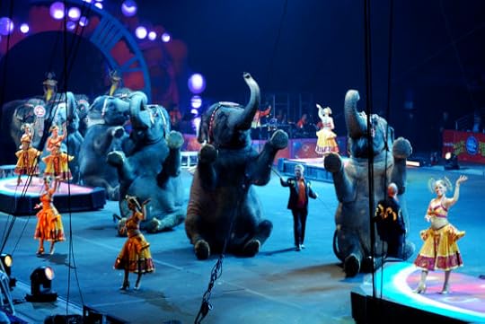 Circus Animal Abuse