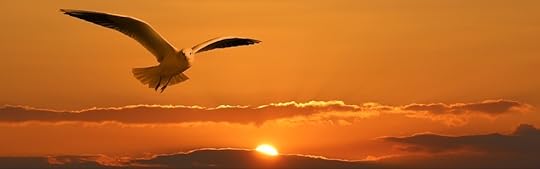 Pixabay are released under Creative Commons CC0