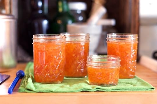 four small open jars of meyer lemon grapefruit marmalade