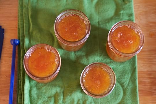 Four open jars of meyer lemon grapefruit marmalade from the top