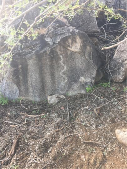 Figure 8. North American Indian petroglyph of a snakelike image, Arizona. Date of creation unknown.